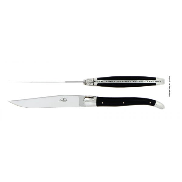 T 2M ACRY NOI - Couteaux de table brillants en Acrylique noir, coffret de 2