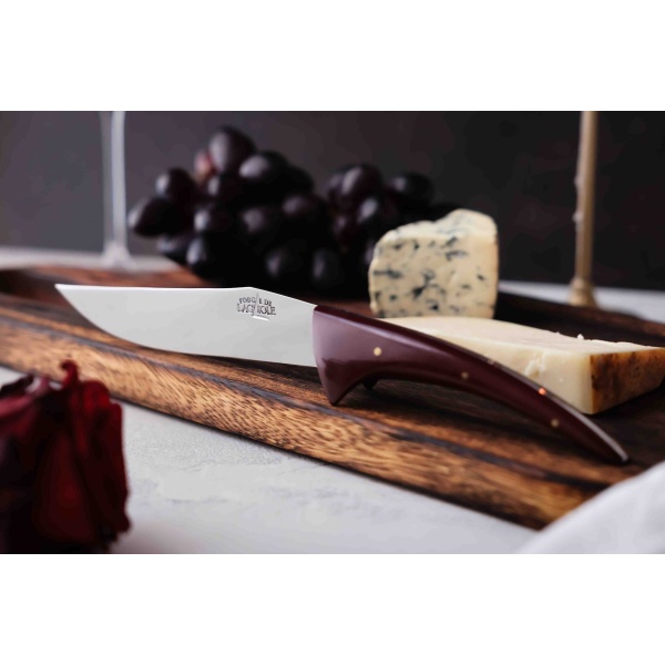 SFR R 2 1 scaled - Philippe Starck cheese knife with red handle