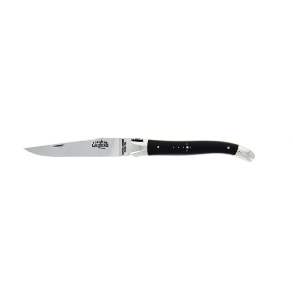 1211F IN BF BRI 2 - Hand engraved, dark horn folding knife, 11cm, high polished finish