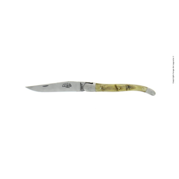 1212F IN BE BRI 1 e1721915334573 - Couteau pliant ciselé main satiné en bélier, 12 cm