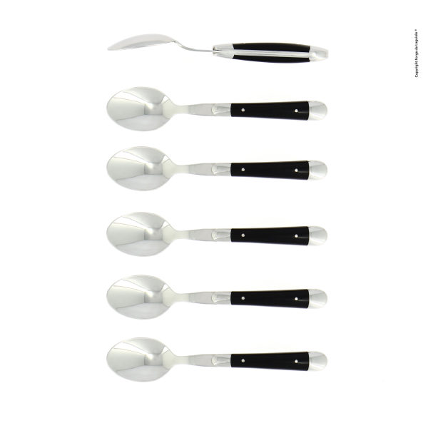 CC6 2M IN ACRYN - Coffee spoons, high polished finish with Black acrylic, set of 6