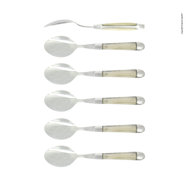 CC6 2M INACRYC e1721727570820 - Coffee spoons, high polished finish with Opalescence acrylic, set of 6