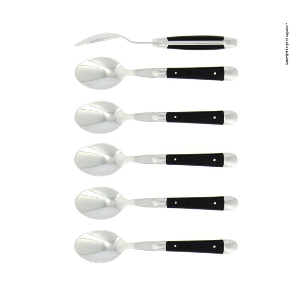 CC6 2MINTCNOI - Coffee spoons, high polished finish with Black Compressed fabric, set of 6