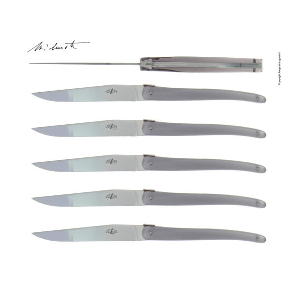 T6 W IN FL GRIS e1721748137897 - Jean-Michel Wilmotte grey acrylic table knives, set of 6