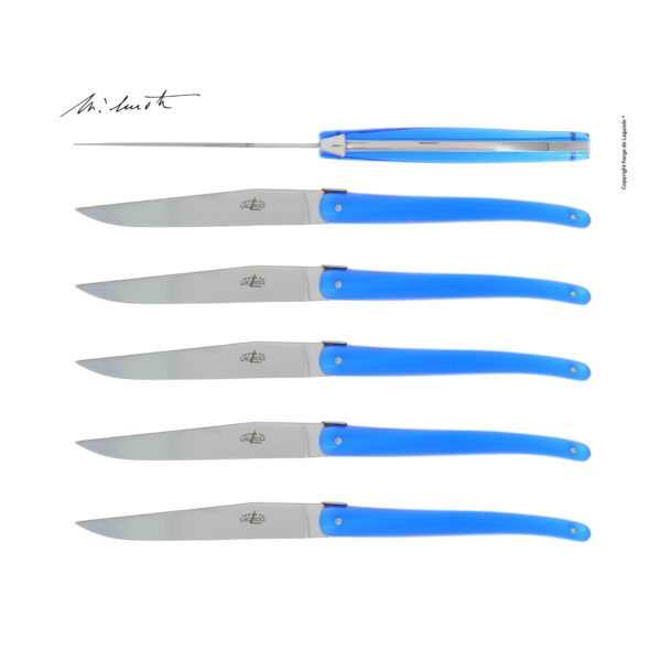 T6 W IN FL BLEF e1721895750374 - Jean-Michel Wilmotte blue acrylic table knives, set of 6