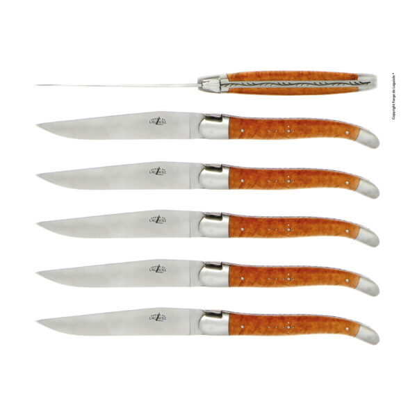 T6 2M IN BR e1721725129648 - Table knives, satin finish with Briar handle, set of 6