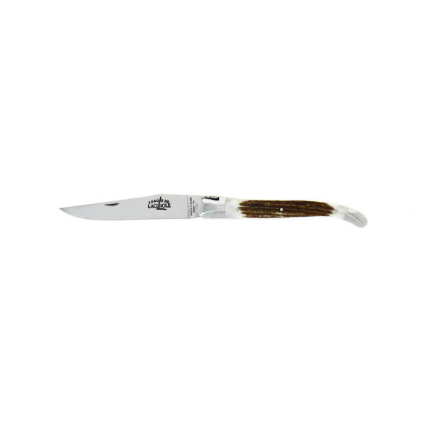 1212F IN CF BRI DPGDD 5719 3 - Hand engraved, deer antlers folding knife high polished finish