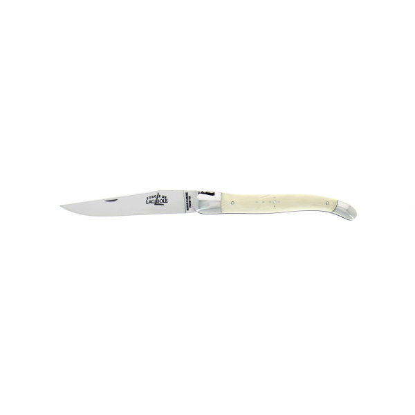1212F IN IV MAM BRI 3890 3 - Hand engraved, mammoth ivory folding knife, high polished finish