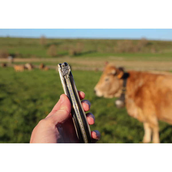 RAMBAUD Transhumance 1 - Massgeschneidertes Taschenmesser, aus Horn der Aubrac-Kuh