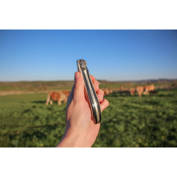 RAMBAUD Transhumance 4 - Massgeschneidertes Taschenmesser, aus Horn der Aubrac-Kuh